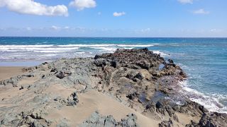 GC-Playa de San Agustin 2026-081.jpg
